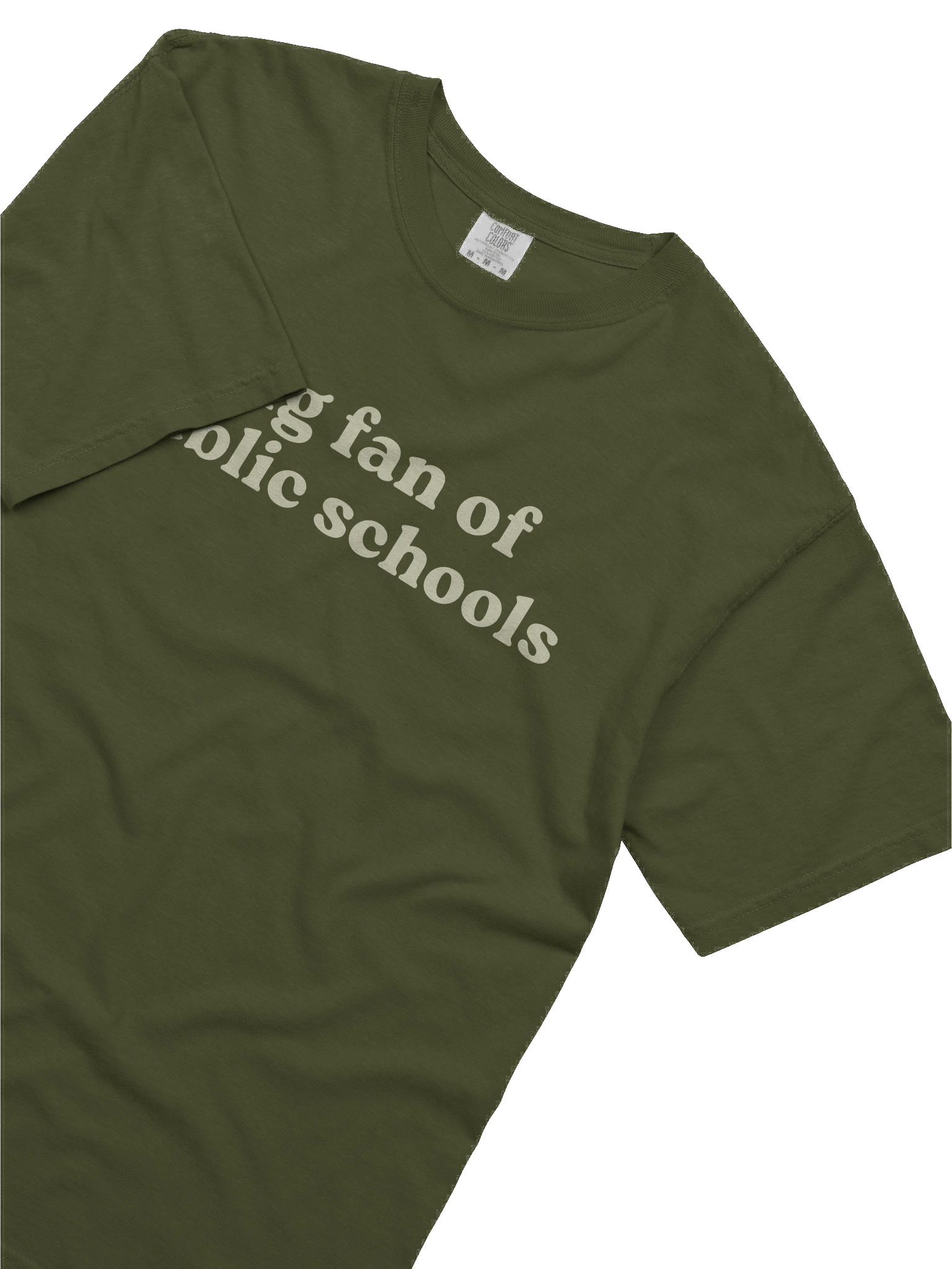 Big Fan of Public Schools Tee product image (5)