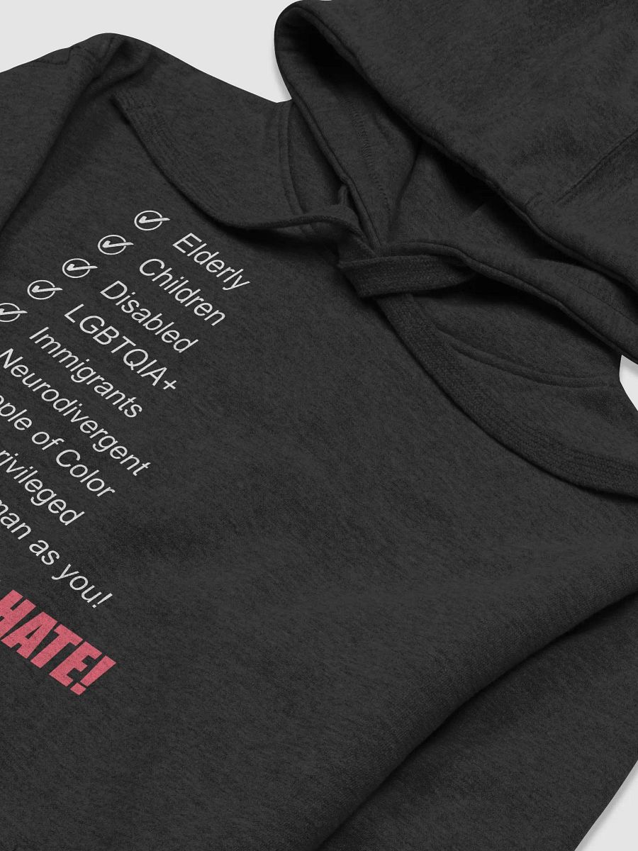 Stop The Hate! Hoodie product image (3)