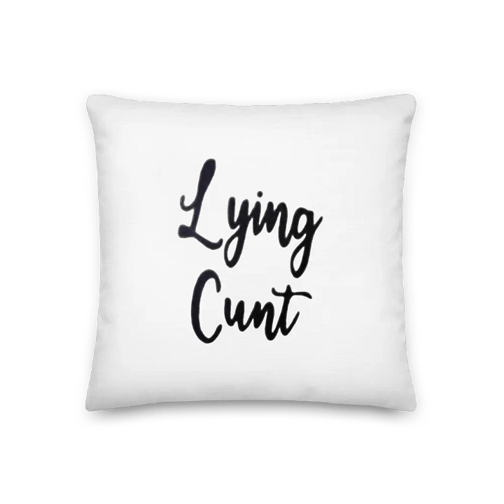 C*nt Pillow from ‘Somebody Somewhere’ product image (1)