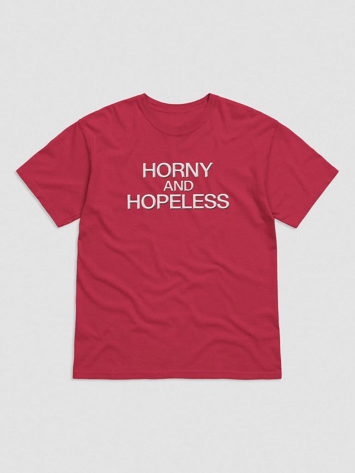 'Horny and Hopeless' Embroidered Tee product image (1)