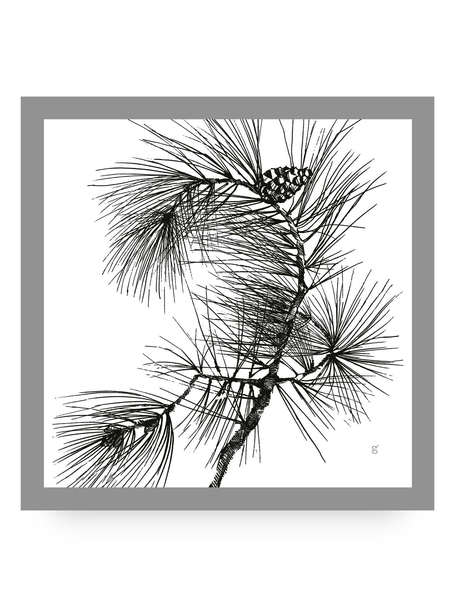 Blank Canvas Collection - Pine Branch product image (99)