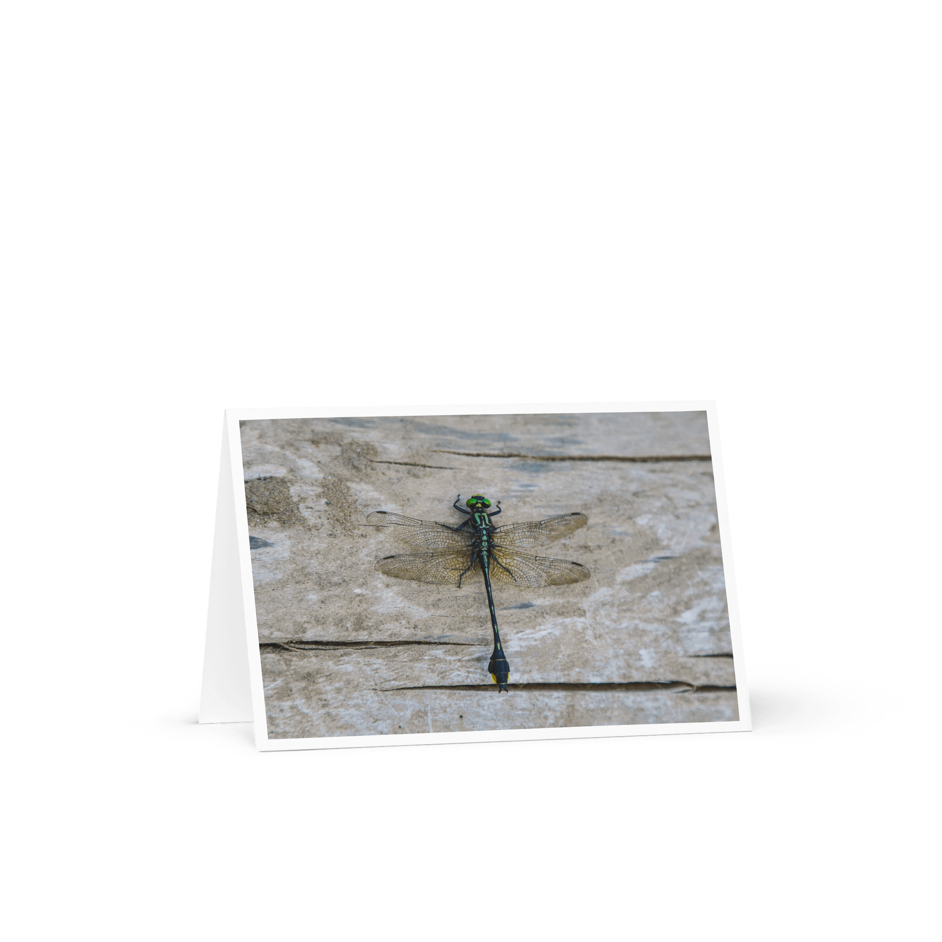 Dragonfly - Greeting Card product image (1)