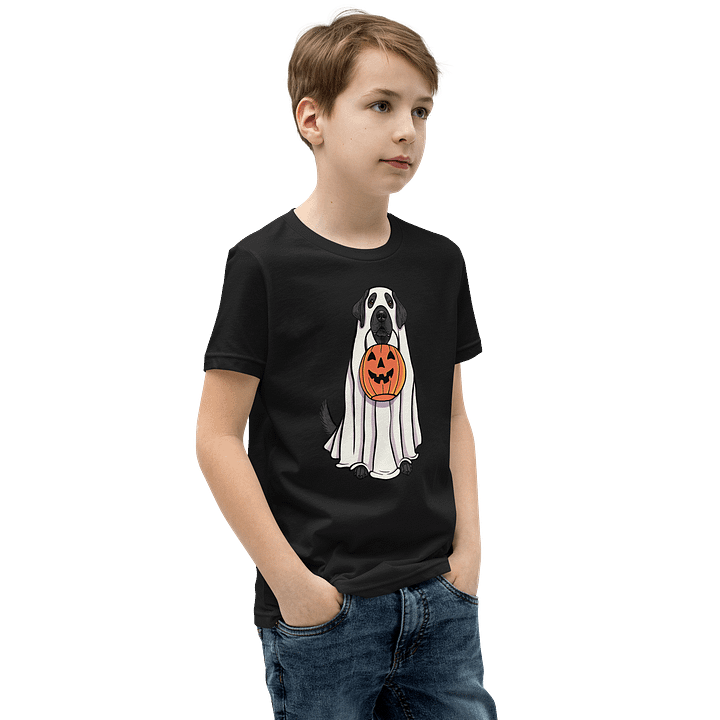 Halloween Labrador Retriever(Black) Youth T-Shirt product image (8)