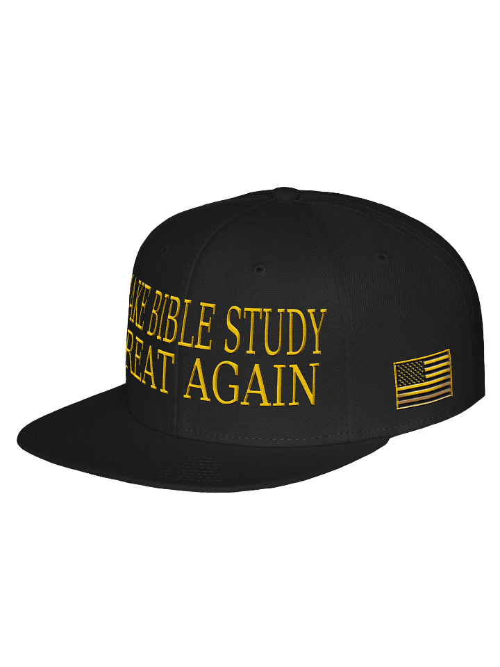 MAKE BIBLE STUDY GREAT AGAIN HAT product image (2)