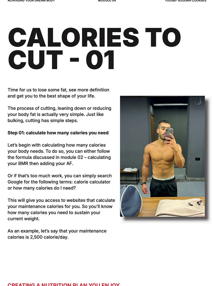 5 E-Books - Achieve Your Dream Body product image (3)