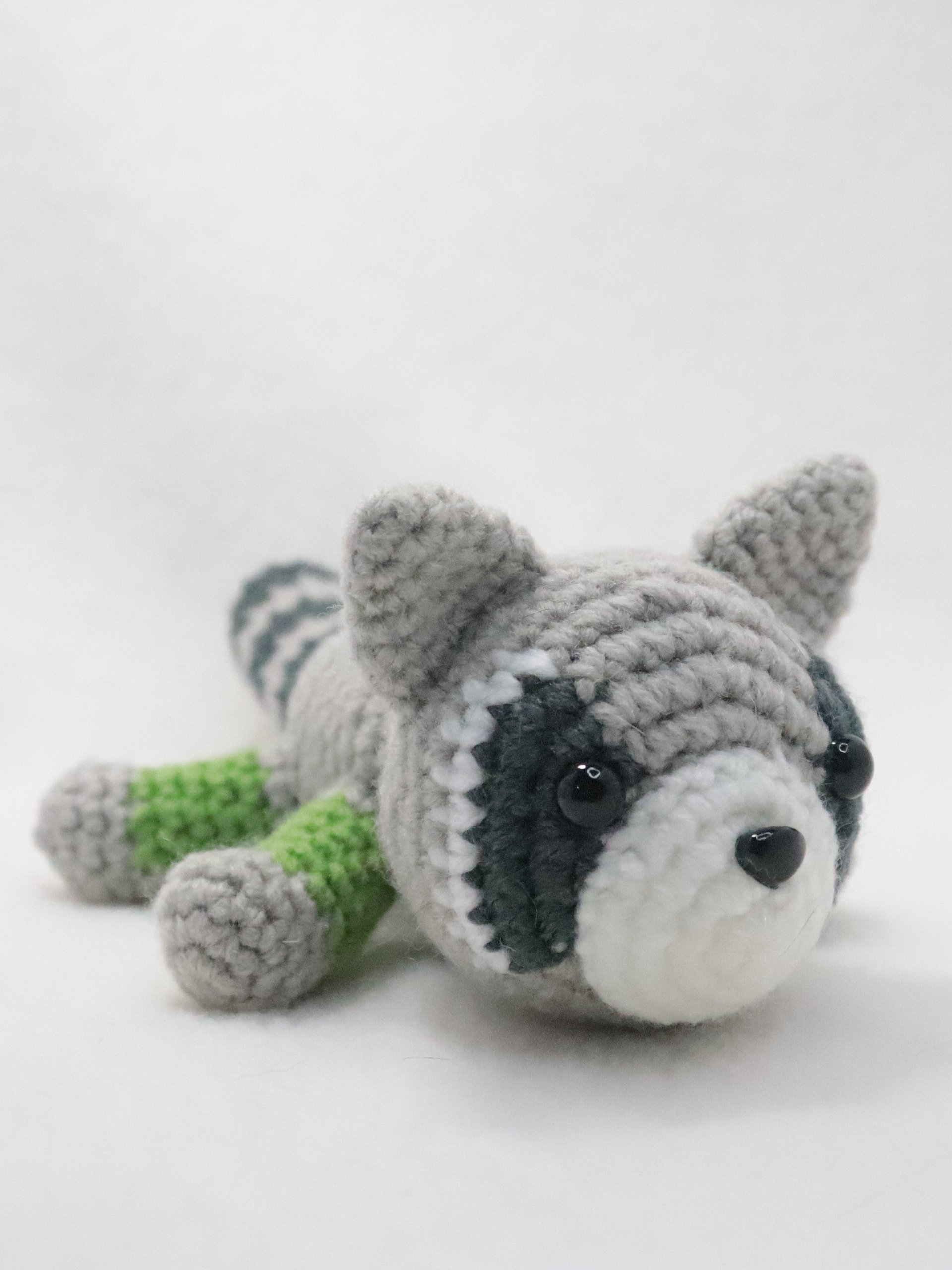 Agender Raccoon product image (1)