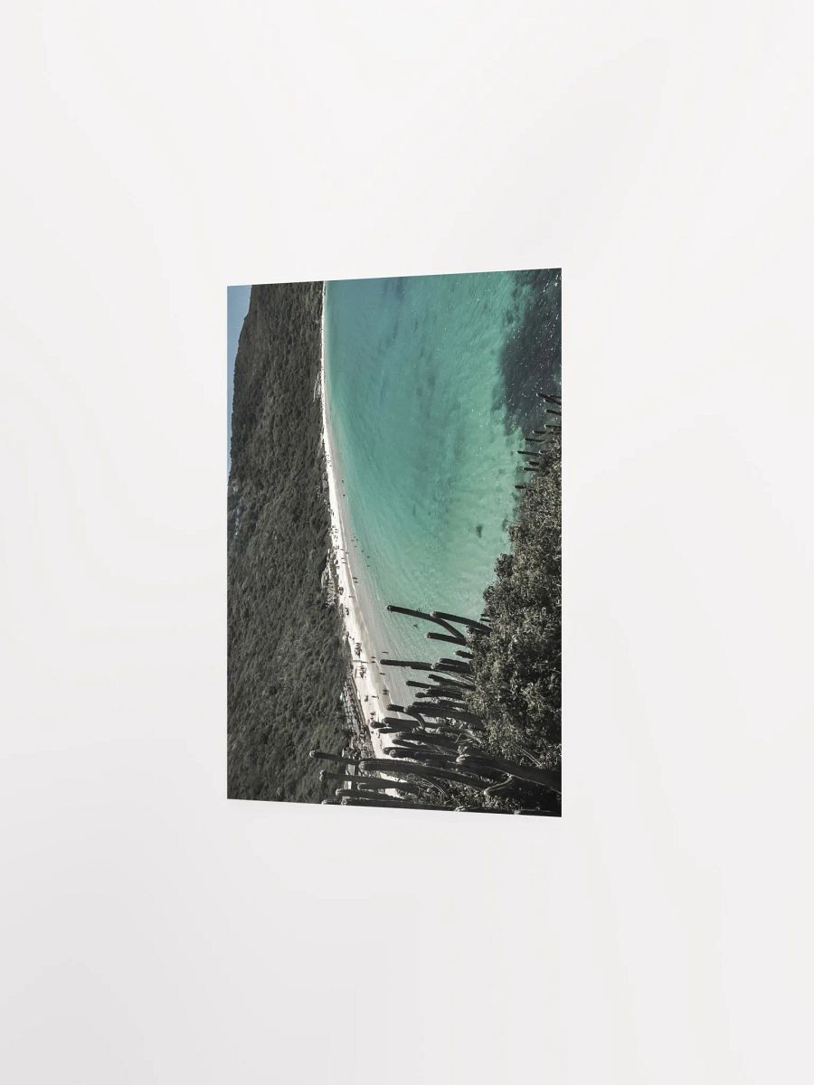 Cactus en Arraial do Cabo product image (3)
