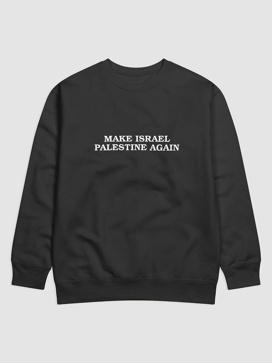 Make Israel Palestine Again Sweatshirt product image (5)