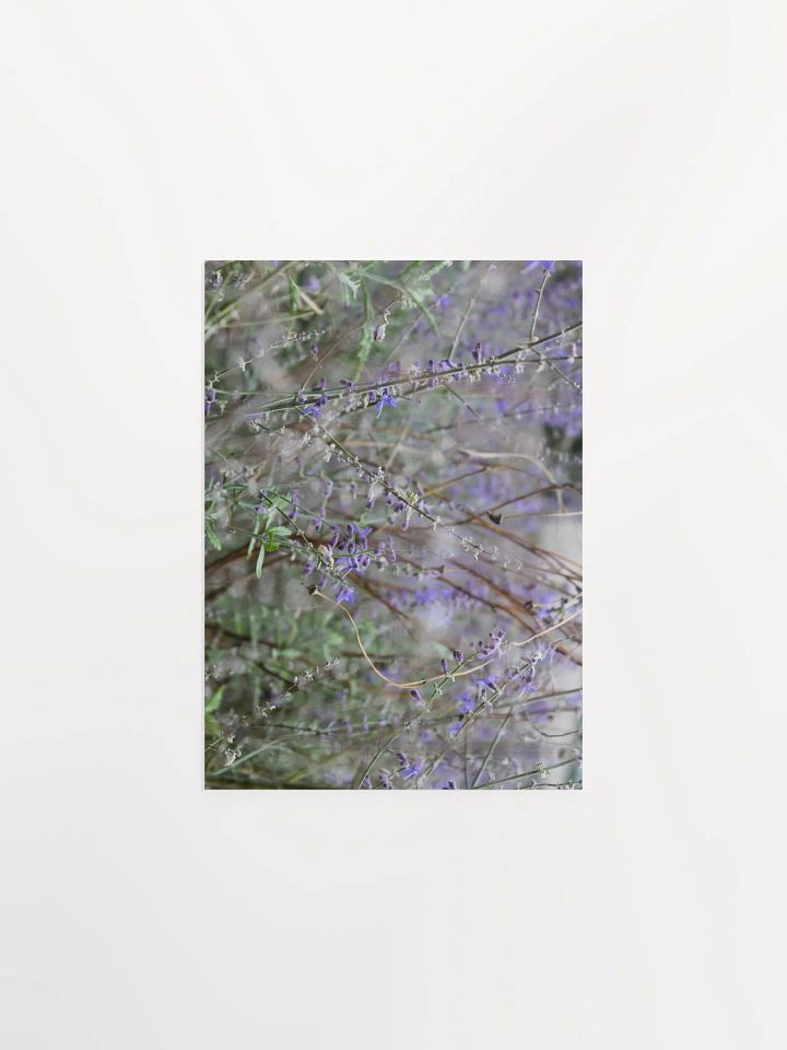 A Study in Flowers 14 product image (9)