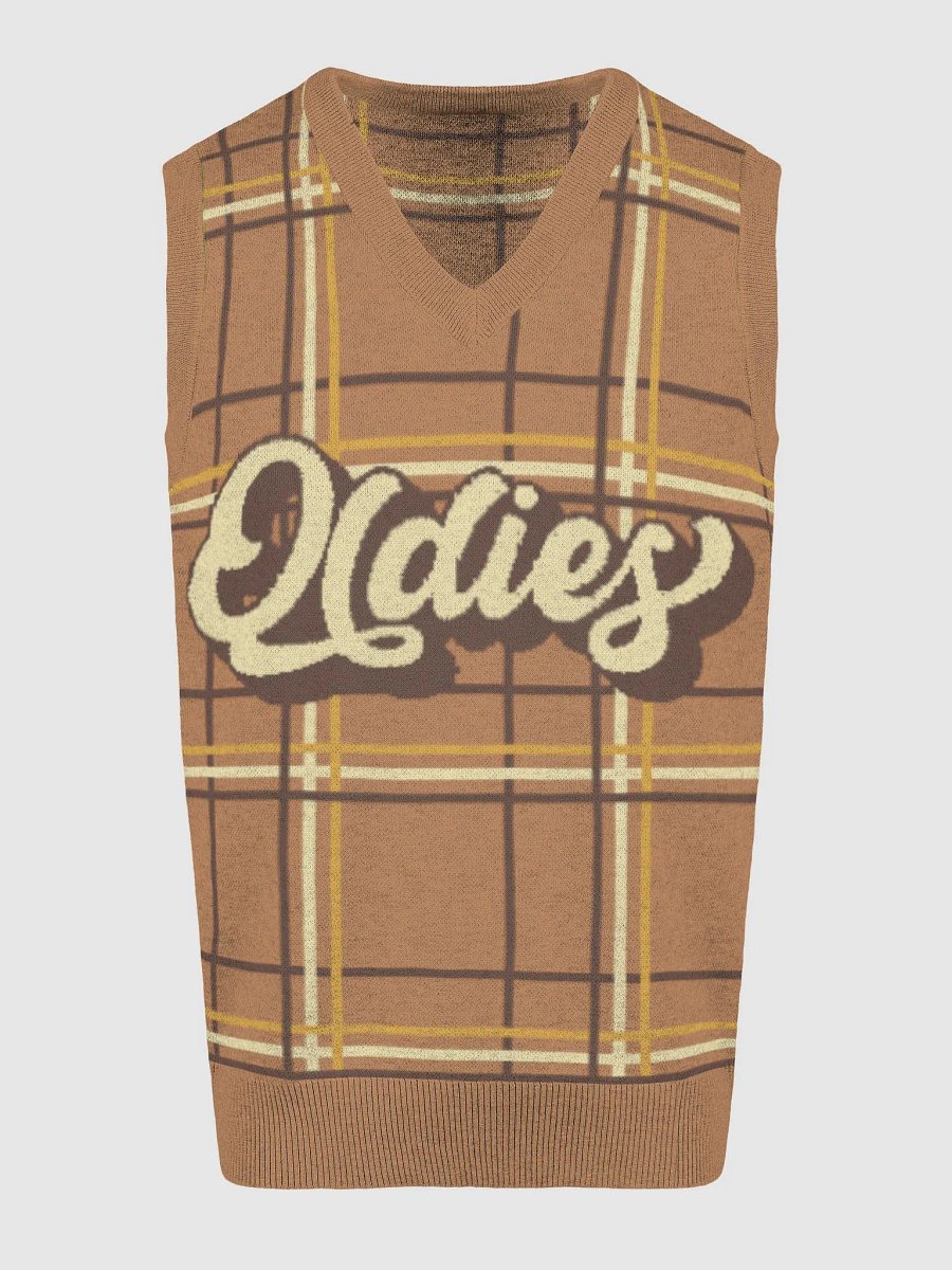 Plaid Perfection V-Neck Vest product image (13)