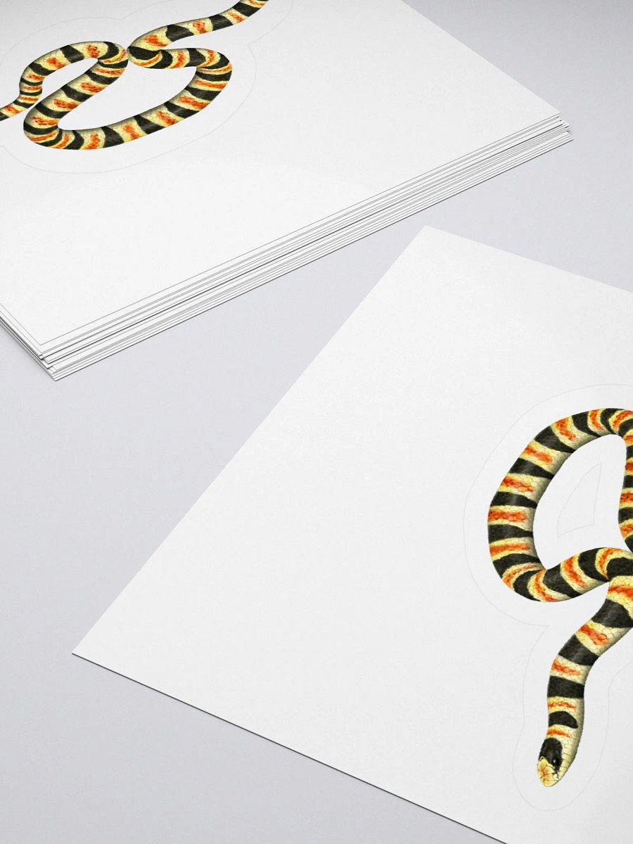 Die-Cut Sticker – Resplendent Shovelnosed Snake product image (4)