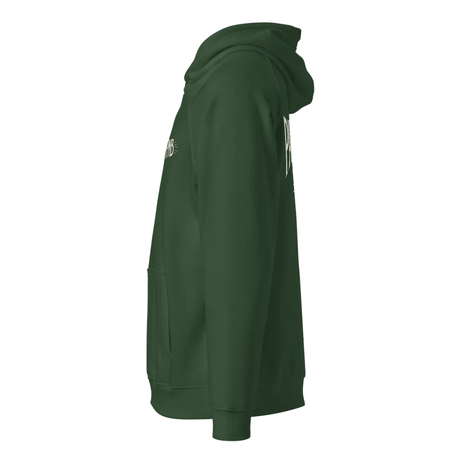 Paper Mountain Band Logo Hoodie product image (17)