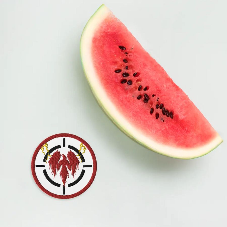 Apollo Phoenix Patch product image (4)