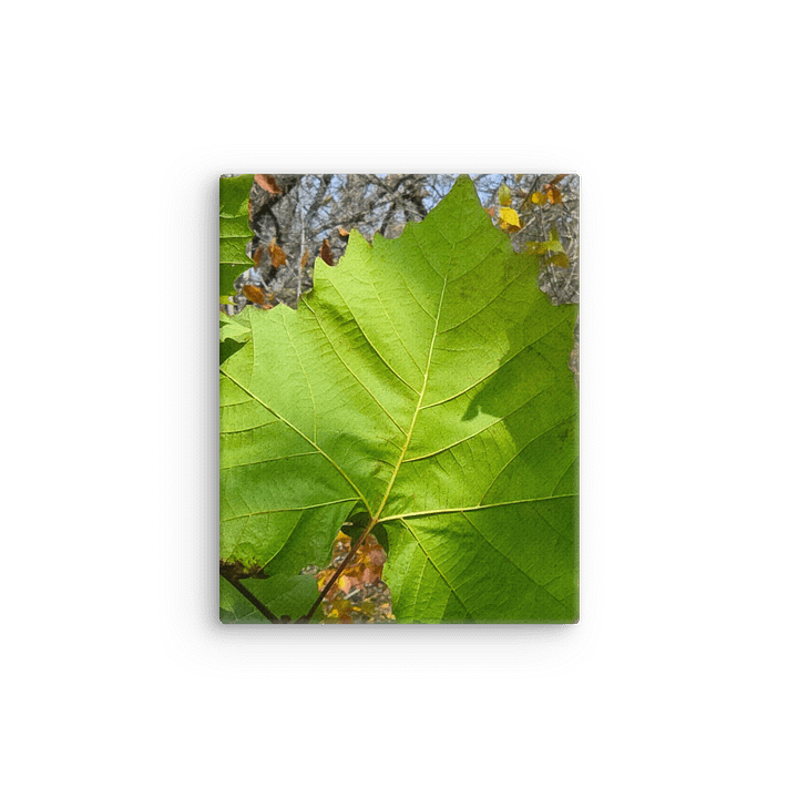 Veins of Nature Thin Canvas Wall Art product image (12)