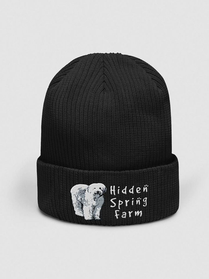 HSF Beanie product image (1)