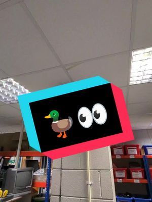 duck hunt at work... new spot... #ducksoftiktok #duckhunter #ducks #plasticduck #@Placid Plastic Duck Simulator #quack #wherenext 