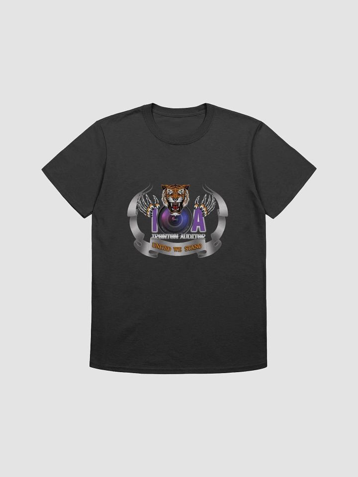 Ironton Auditor T product image (1)