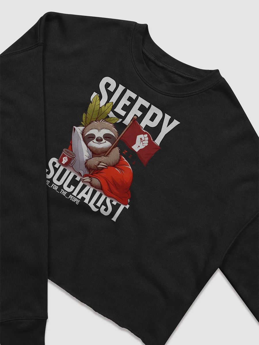 Pris - Sleepy Socialist Bella+Canvas Fleece Crop Hoodie product image (11)