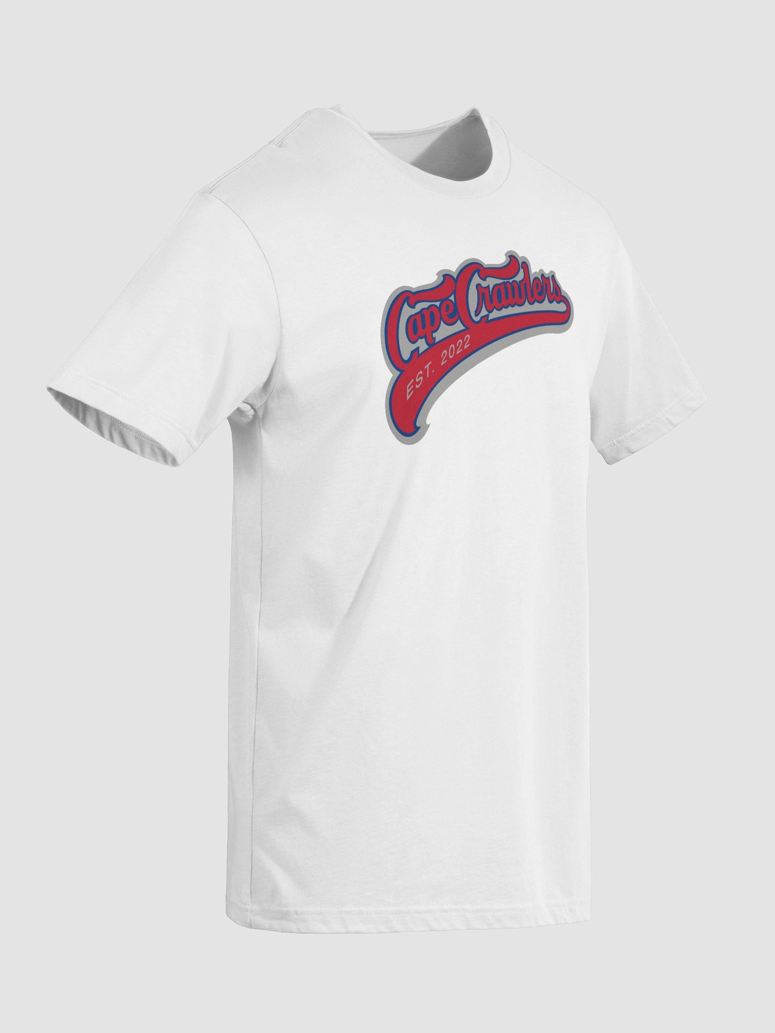 Varsity Logo Tee (red) product image (42)