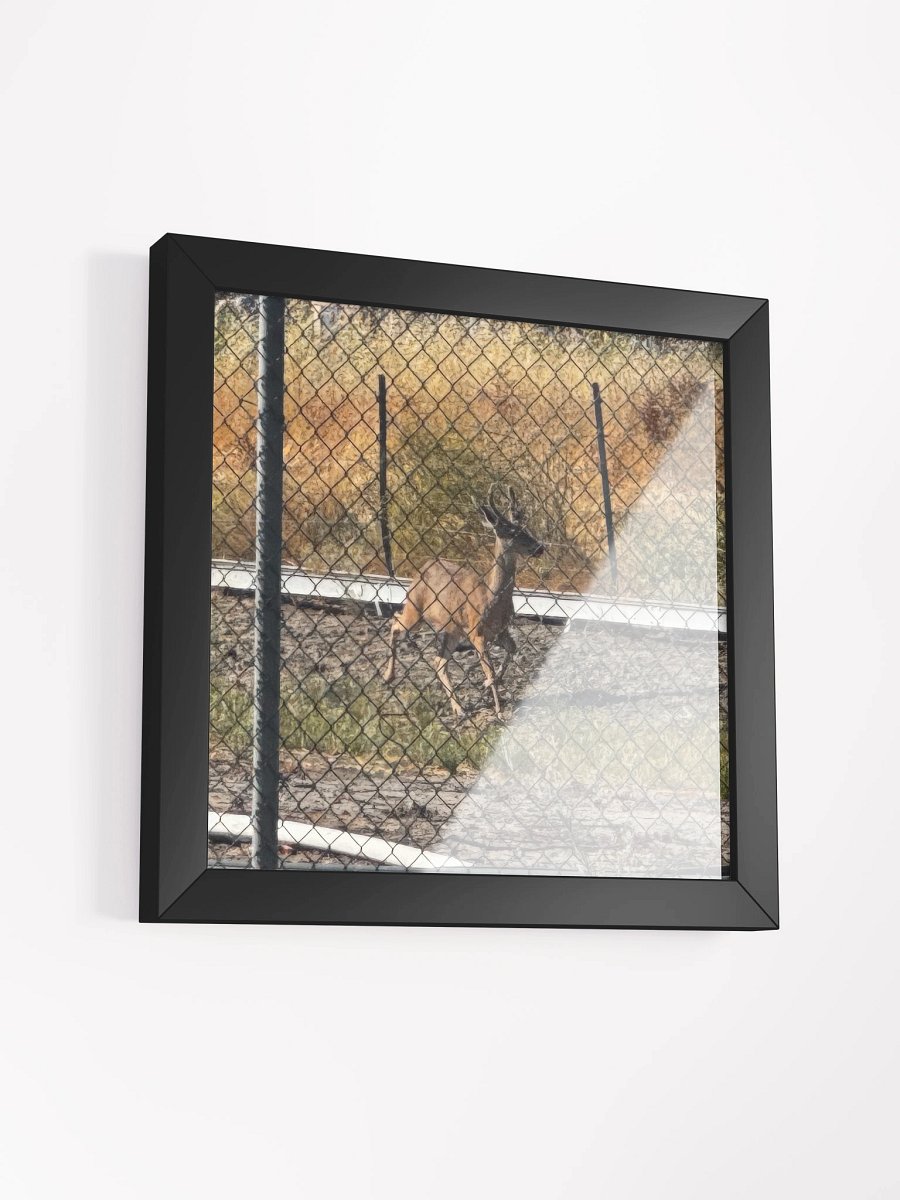 Deer product image (16)