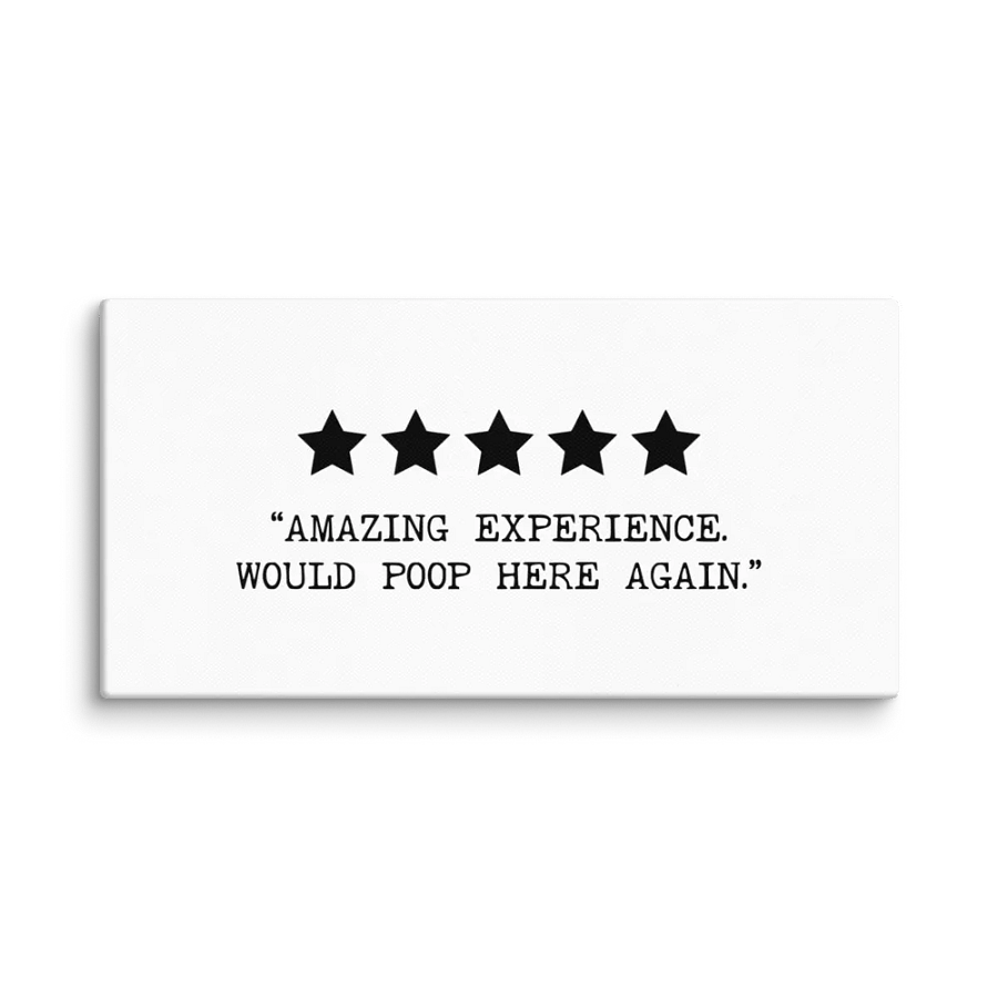 'Amazing Poop Experience' Canvas product image (2)