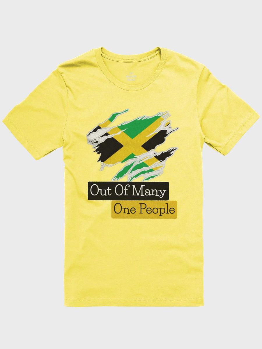 Out of Many Supersoft T-Shirt product image (1)