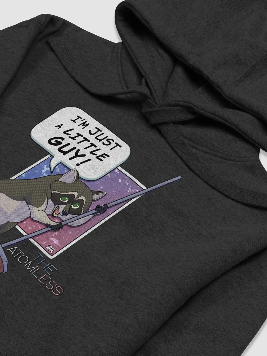 Guy the Racoon Hoodie product image (19)