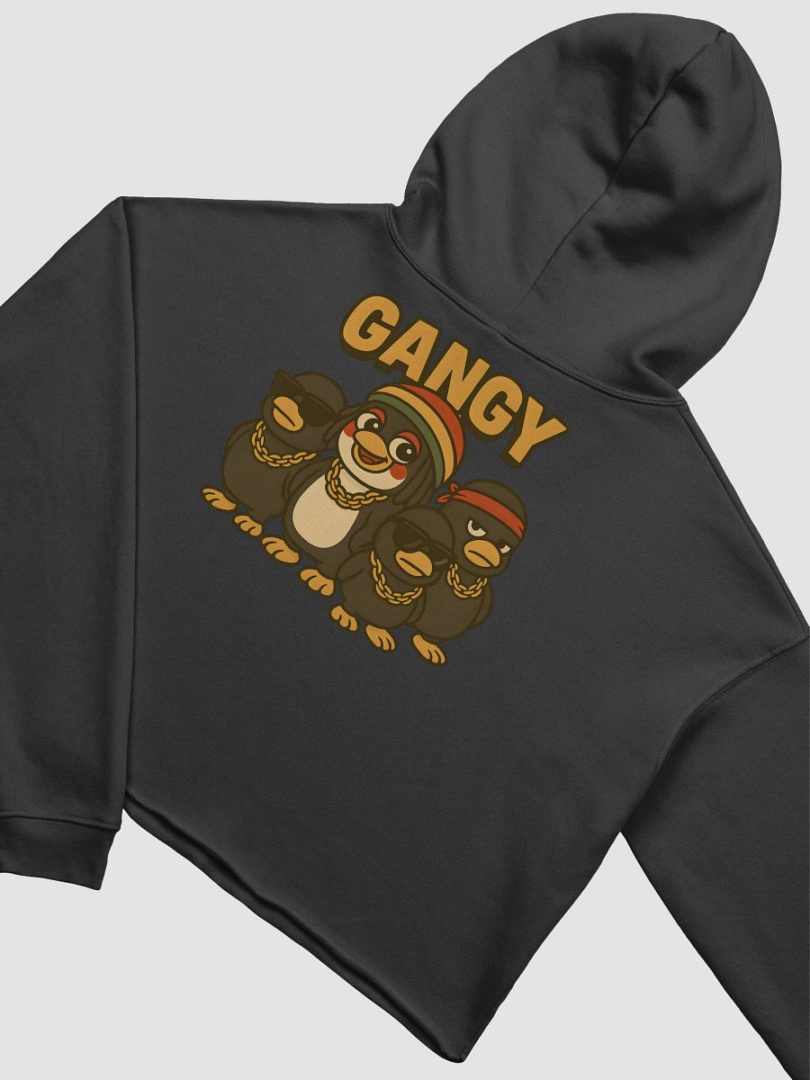 GANGY Crop Hoodie product image (14)