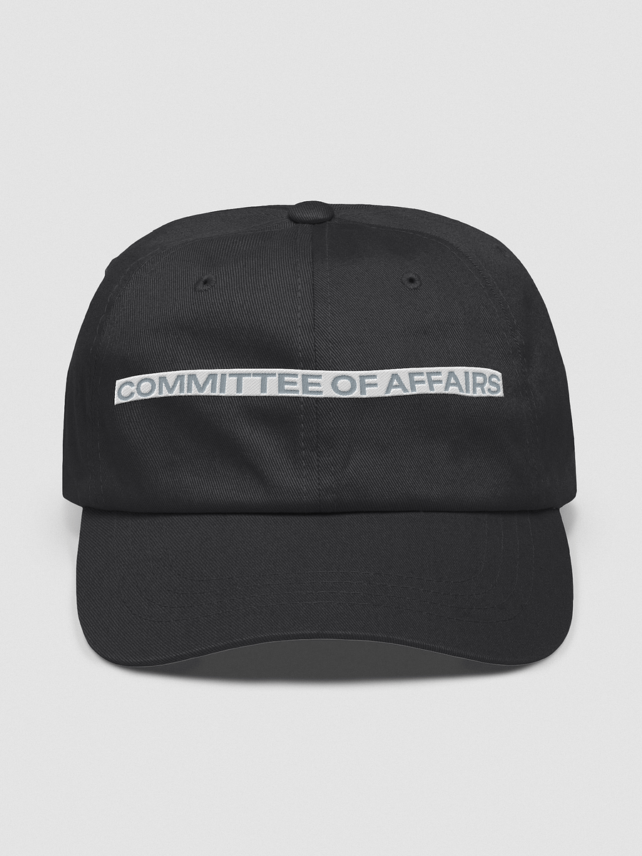 Hat 2! product image (1)