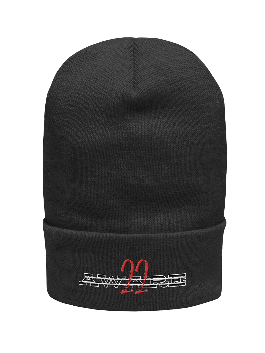 22AWARE BEENIE product image (1)