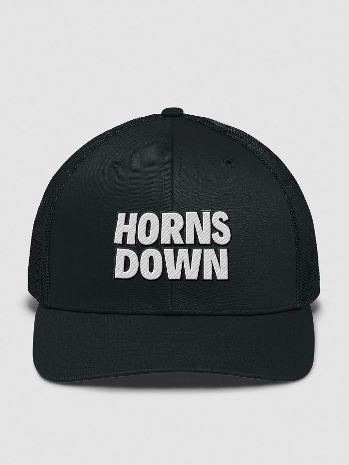 Bold Statement Snapback: HORNS DOWN product image (3)
