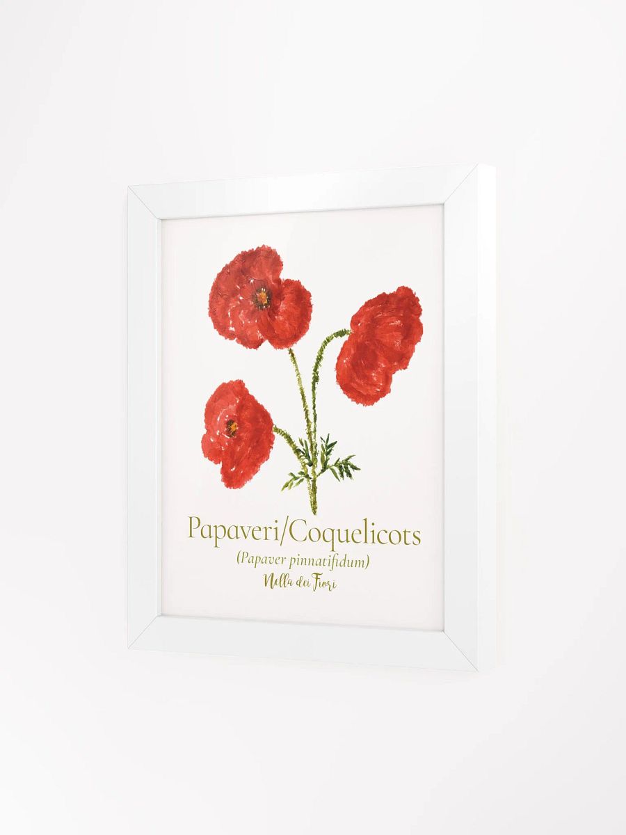 Papaveri Botanicus Frame product image (12)
