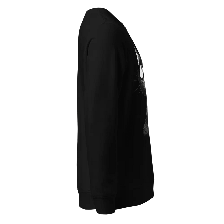 Black Kitty Organic Sweatshirt product image (4)
