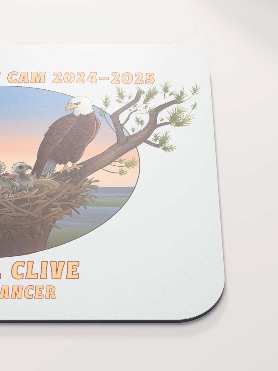 Art | Mouse Pad | Captiva Eagle Cam 2024-2025 product image (4)