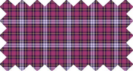 Bright Purple Plaid (CO08)