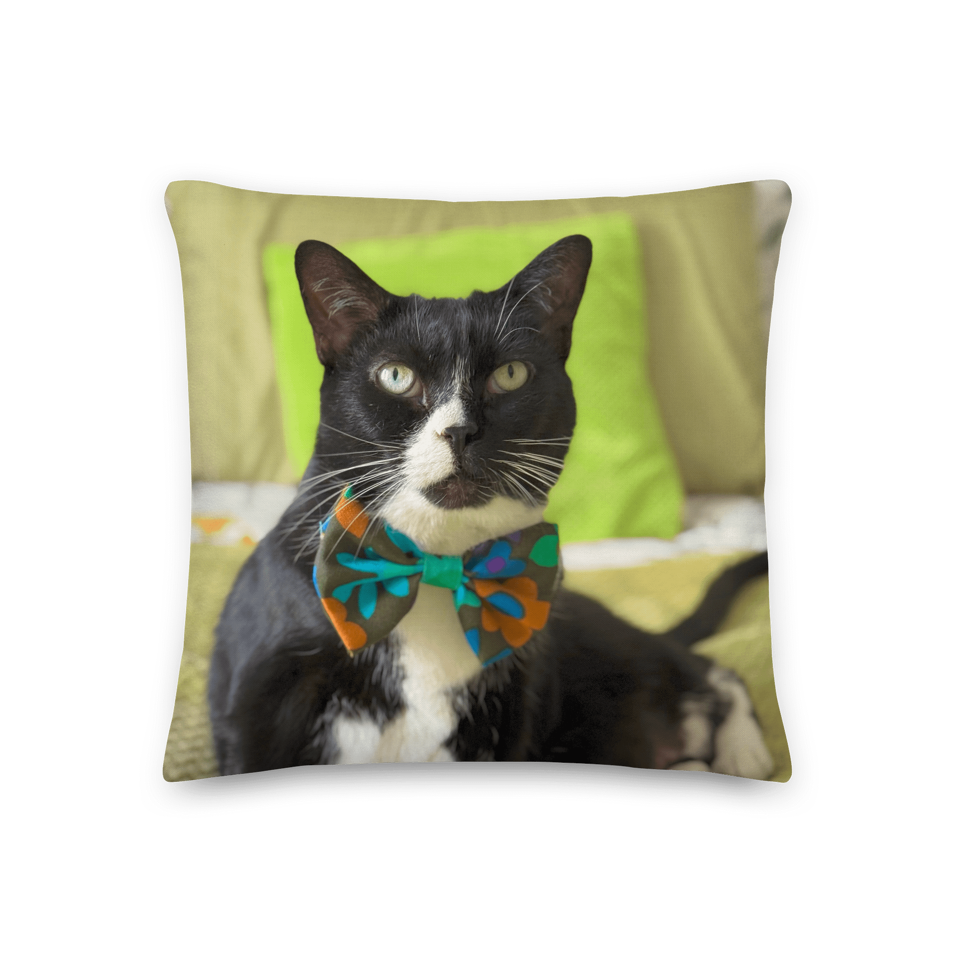 Tuxedo Dream Pillow product image (2)