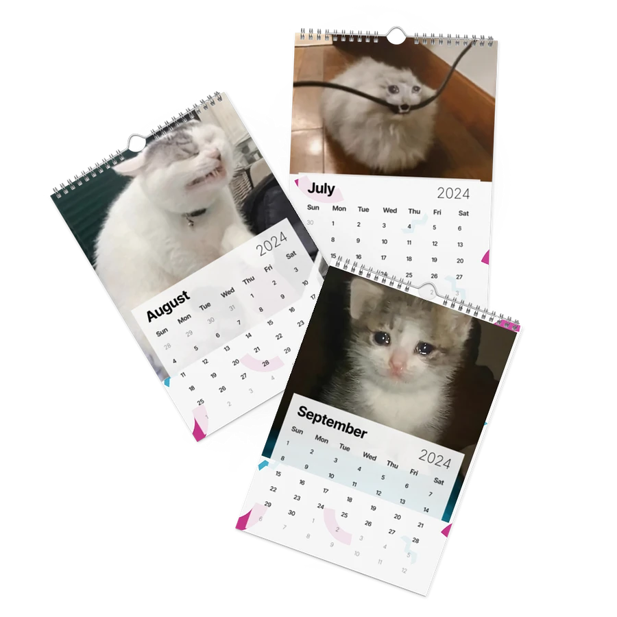 Wall Calendar (2024): Meme Cats product image (11)