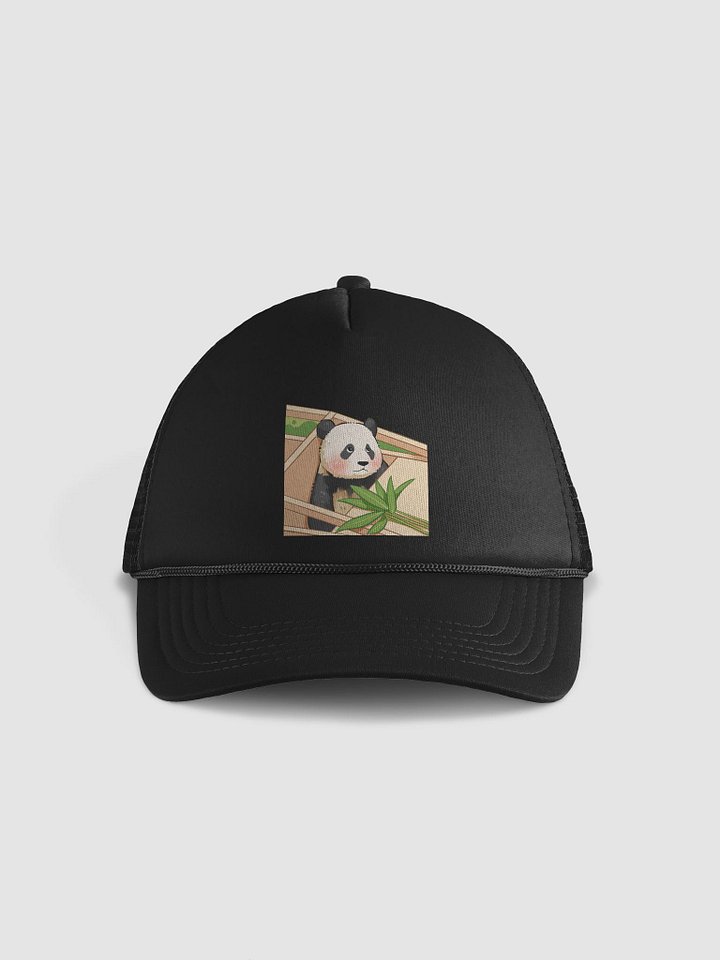 HUIBAO🐼Giant Panda product image (1)