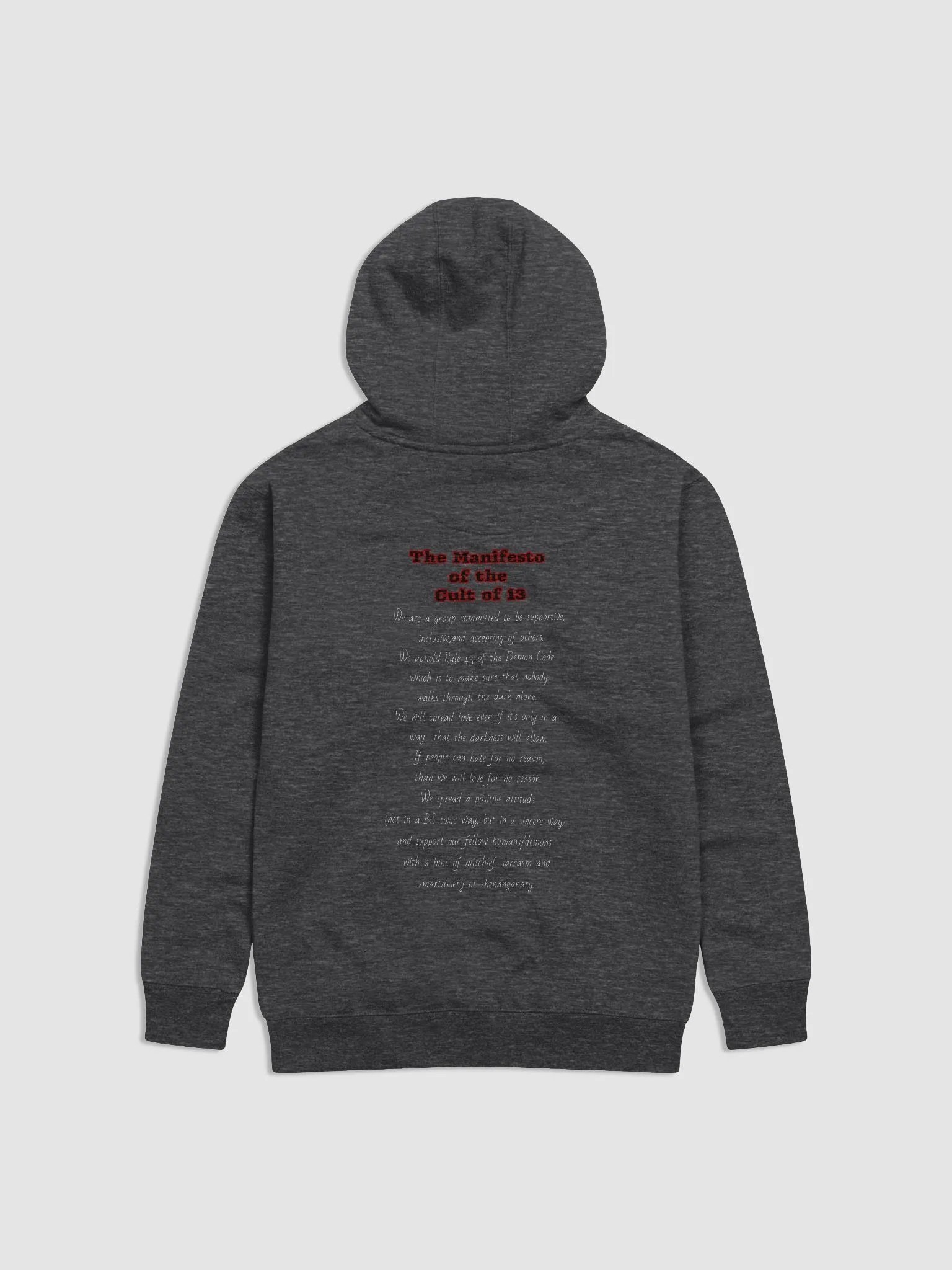 Manifesto Hoodie product image (5)