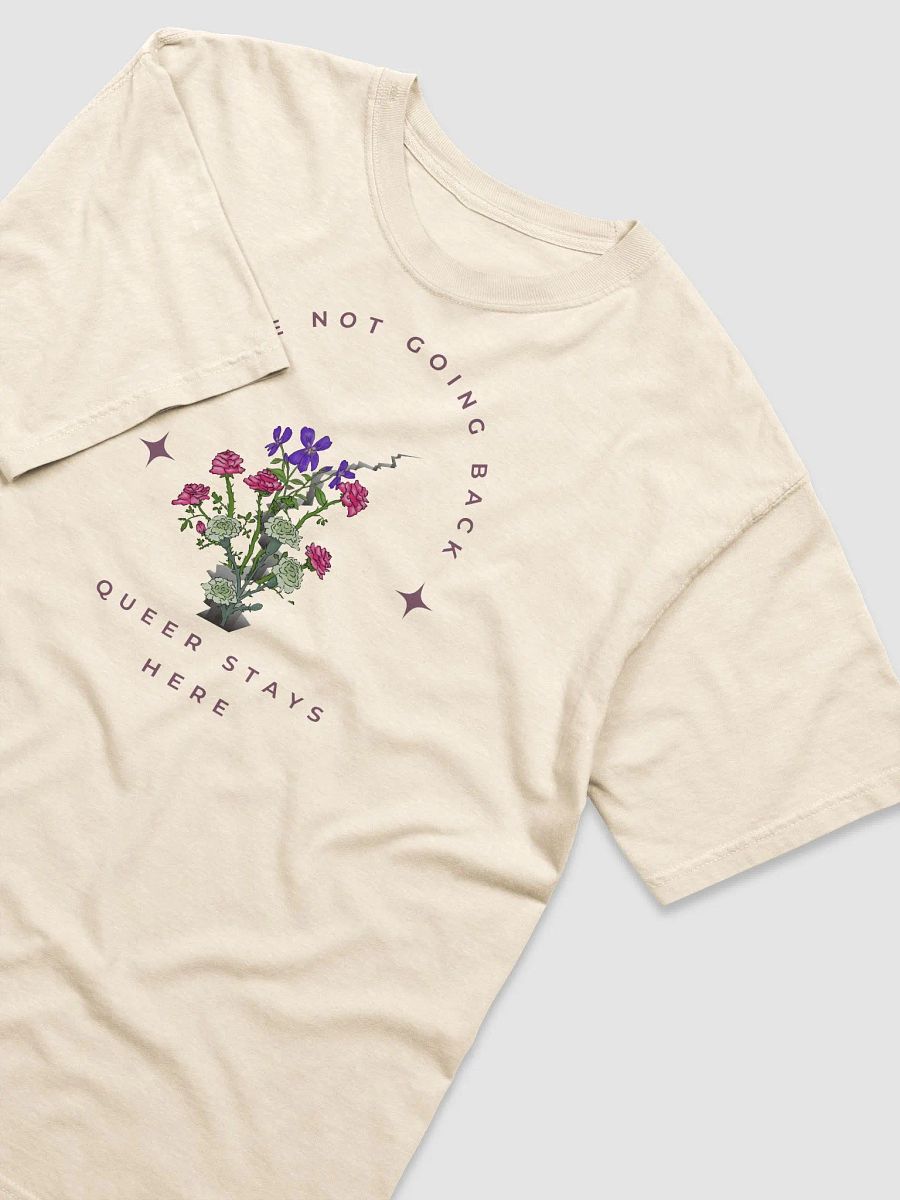 Queer Stays Here T-shirt product image (3)