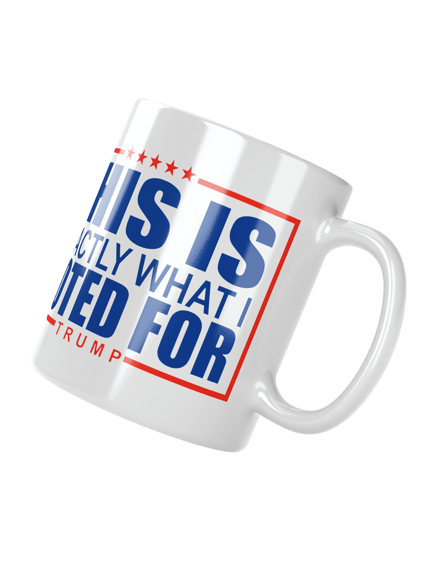 This Is What I Voted For Mug product image (6)
