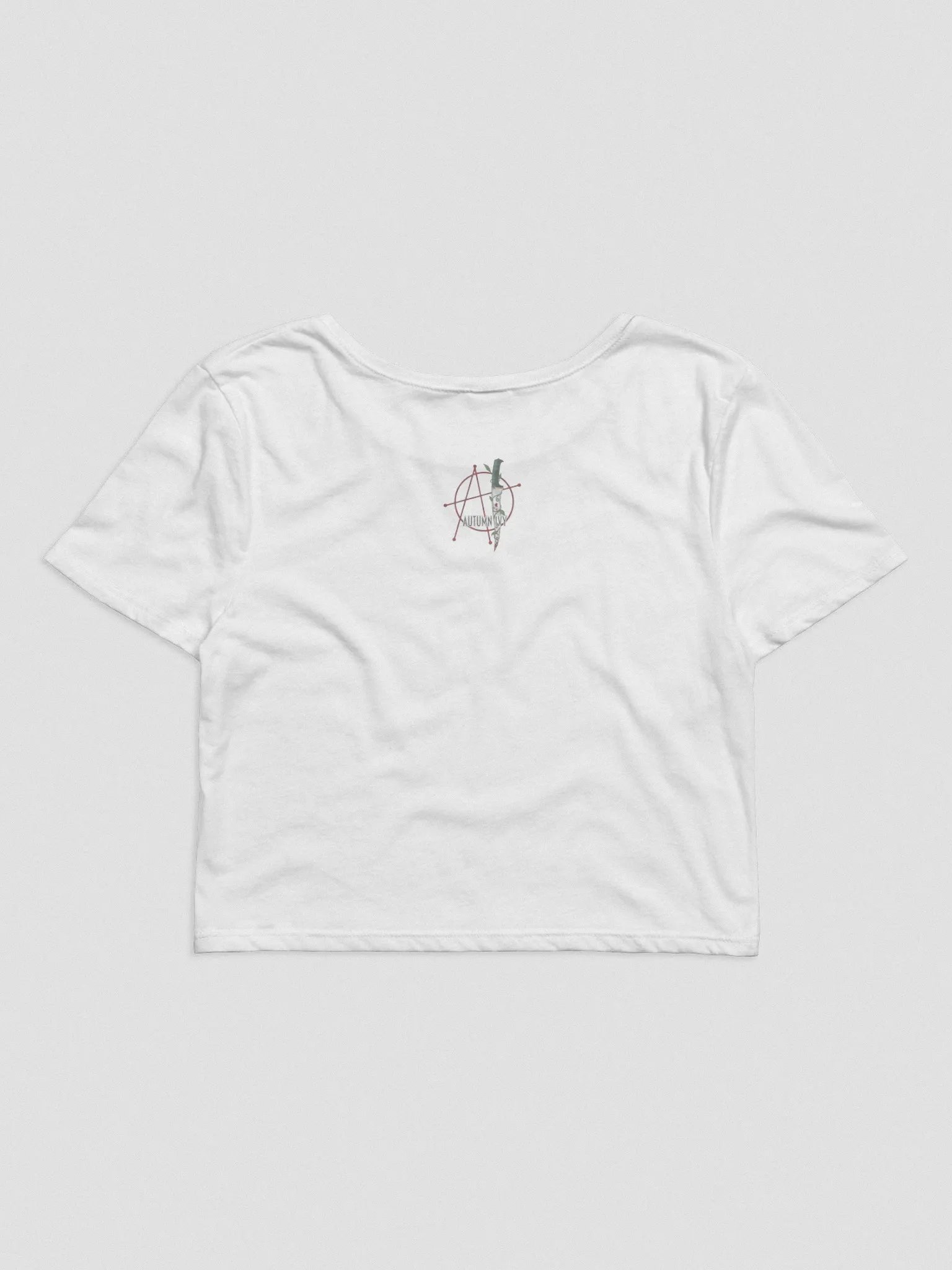 Consistency Baby! - Crop Tee product image (6)