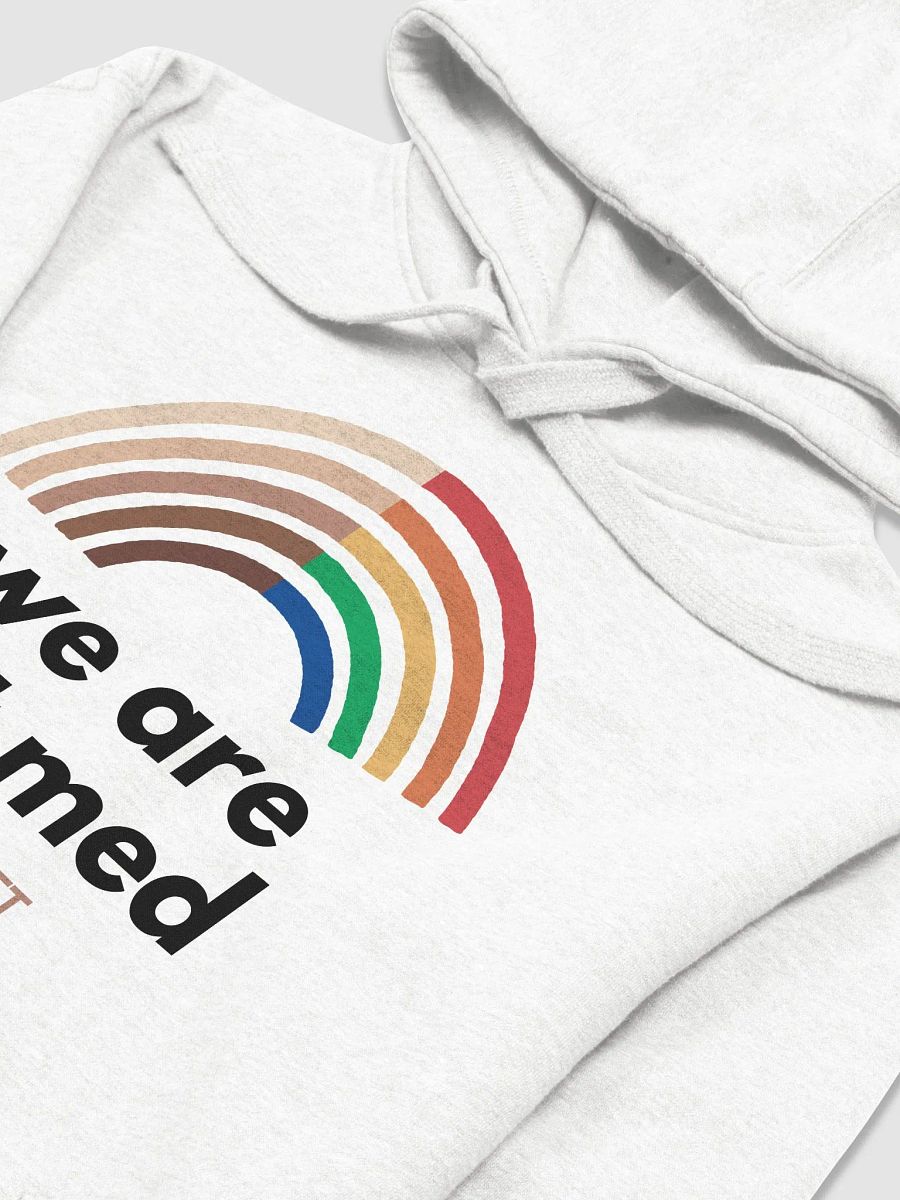 Pride - We Are Vet Med Hoodie product image (4)