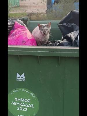 CATkada “last hope pt. 1”  #catkada #lefkada #catlover #fyp #cat 