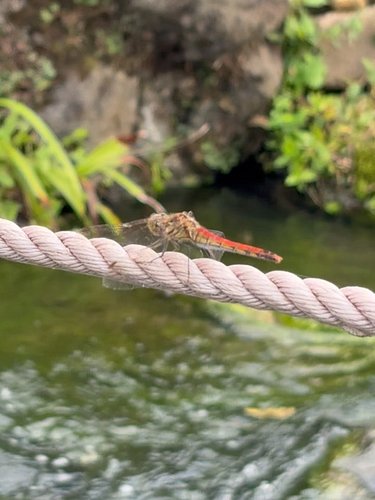 Some beautiful things✨