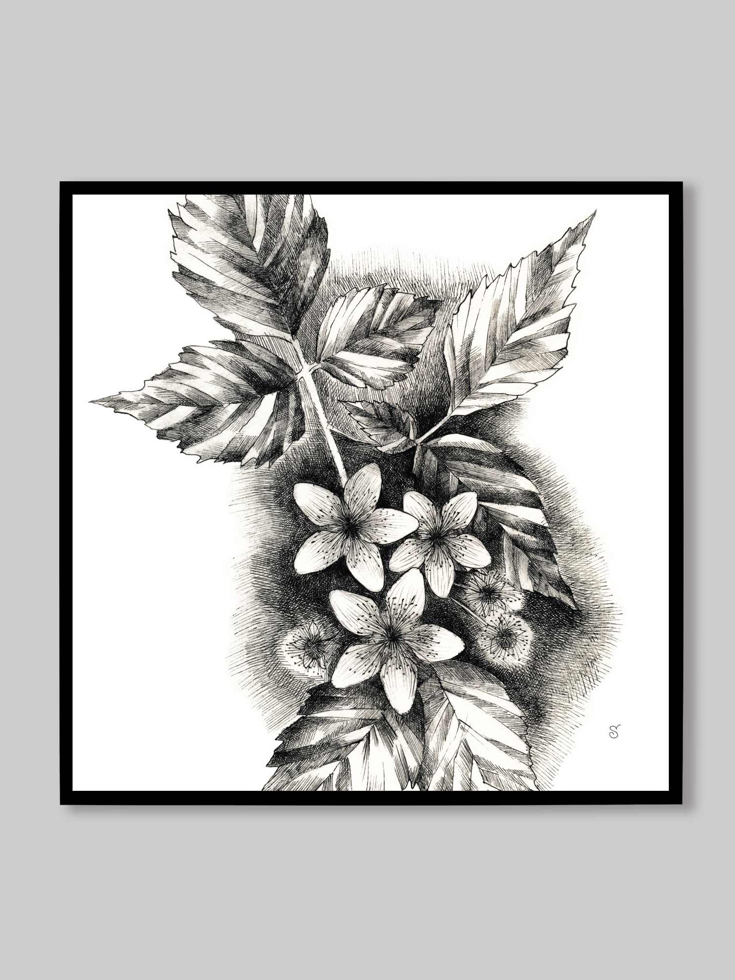Blank Canvas Masterpieces - Jasmine product image (60)