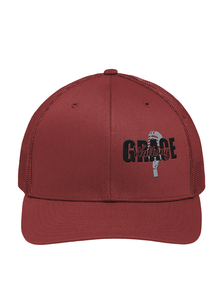 Walking in Grace product image (2)