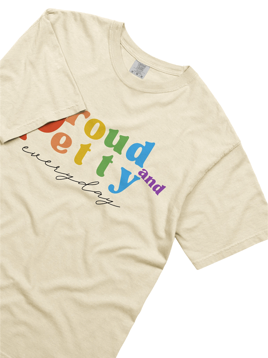 Vibrant Pride Heavyweight Tee product image (7)