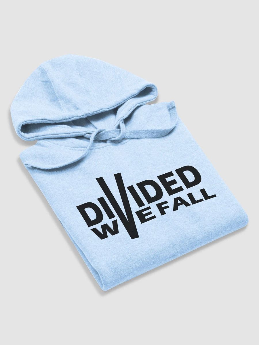 Divided We Fall - Black - Cotton Heritage Unisex Premium Hoodie product image (4)