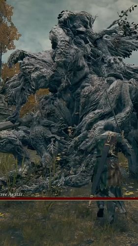 The Confidence - Jek displays elite Elden Ring gameplay… 

#eldenring